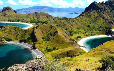 How Trips to Komodo Island from Bali