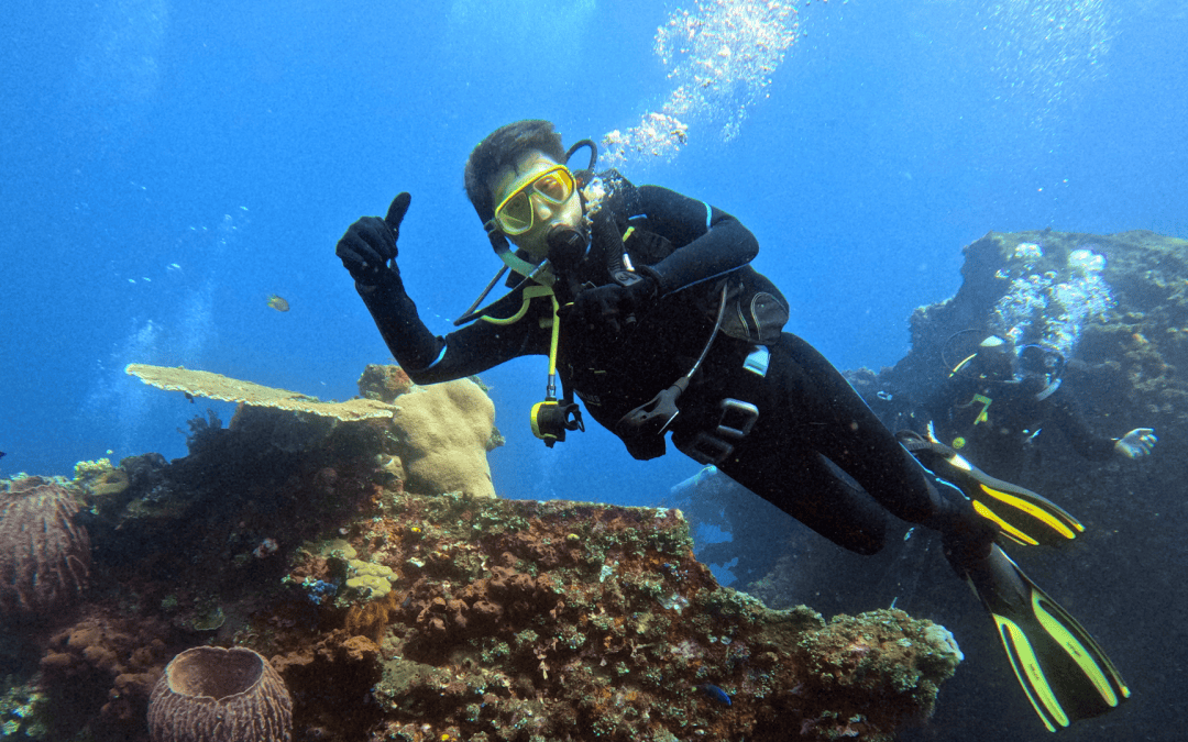 Scuba Diving Bali Ultimate Guide: Top 12 Spots for 2025