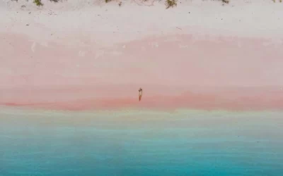 Indonesia’s Pink Beaches: Discover Nature’s Rare Marvels