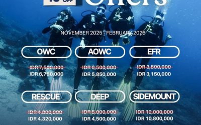 Course Discount Promo – Time to Dive Deeper!