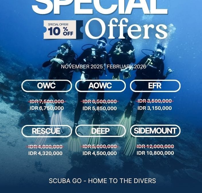 Course Discount Promo – Time to Dive Deeper!